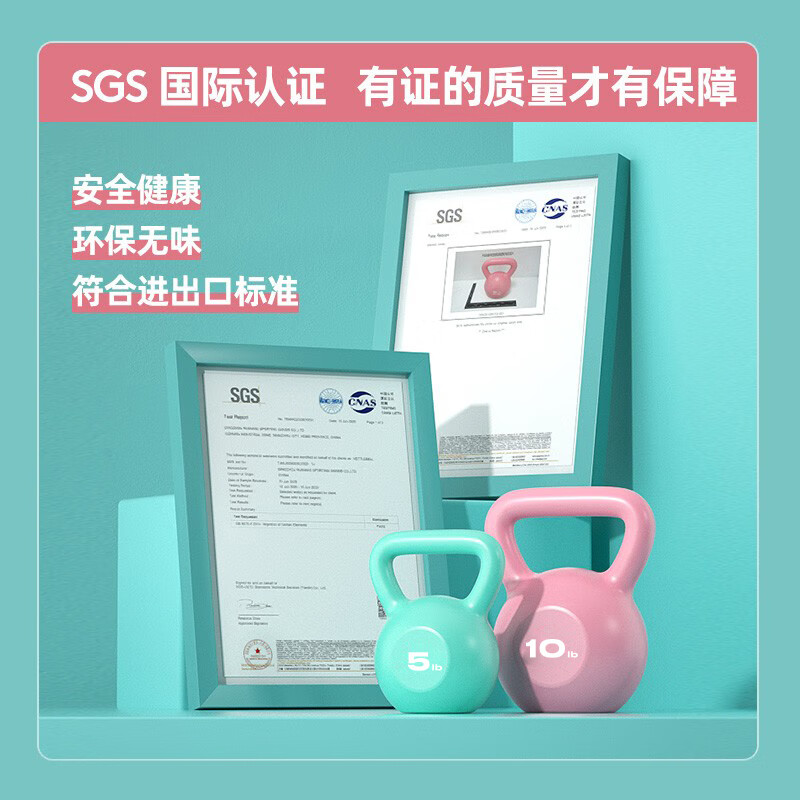 朗威壶铃哑铃女士健身家用器材男士竞技浸塑亚玲球提壶哑铃5-20磅健身 4.5kg =10LB/高贵紫女士初学